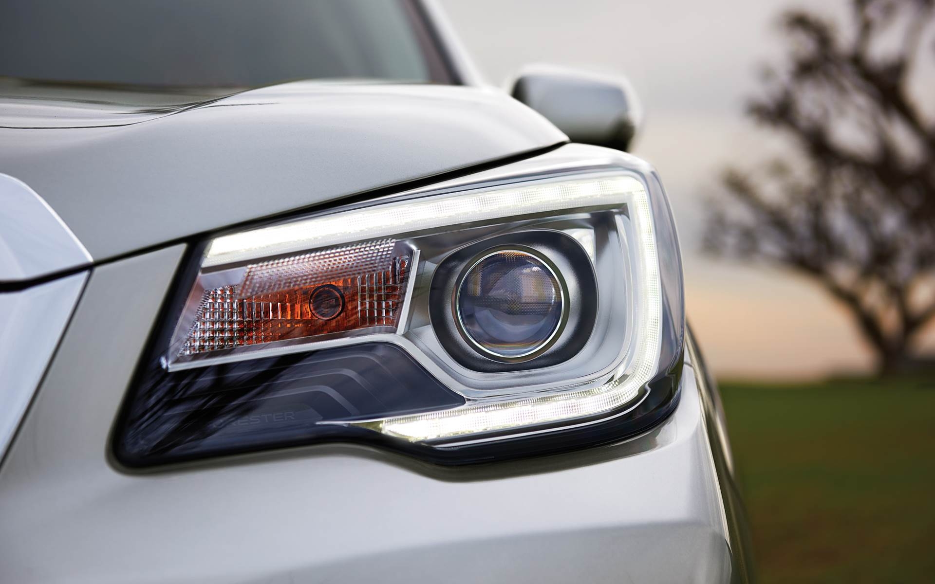 Imagem 2 Subaru Forester XT 2.0 16V Turbo CVT 4WD 2017