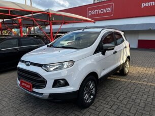 Foto 1 - Ford EcoSport Ecosport Freestyle Plus 4WD 2.0 16V (Flex) manual