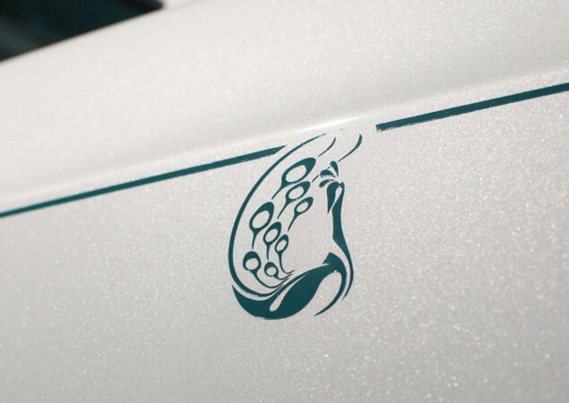 O carro faz referências ao pavão em diversos detalhes. A ave é símbolo nacional da Índia