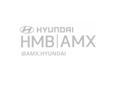 AMX MOTORS HYUNDAI